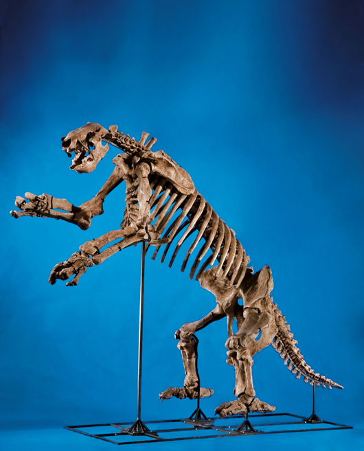 Superb specimen of skeleton of Giant Ground Sloth. Heritage Auctions image.